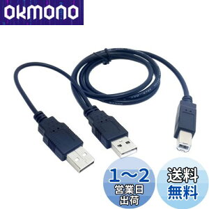 yzcablecc fAUSB 2.0IXWBIXYP[u 80cm v^[&XLi[&OtHDDP[uCCp
