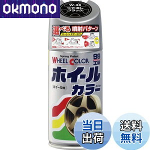 【送料無料】ソフト99(SOFT99) 99工房 補修ペイント ホイールカラー W38 つや消しブラック 300ml Wー38 自動車のアルミ・鉄ホイール及び樹脂製ホイールカバー 07538