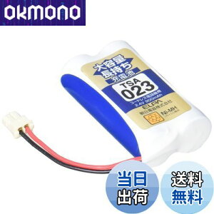 yzGp (ELPA) eʒ[dr pi\jbNi 2.4V 900mAh jbPf[dr TSA-023