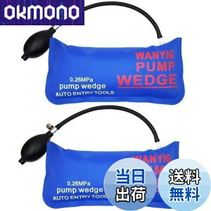 yzWANYIG GA[Ct[^[ GA[EGbW  hAbN  WbLAbv 300KGΉ ⏕H xTPUi 2_Zbg (傫Ȓ`)