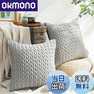 yzPhantoscope NbVJo[ xxbgv[c k 2  e͐ LeBO \t@w   n2WAY O[ 45×45cm