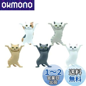 yzMRZJ JKRLyz_[lR̃y S5Zbggyz_[ (5PCS)
