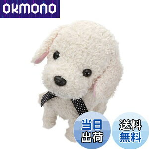 yzZKgCY(SEGA TOYS) RR  N[