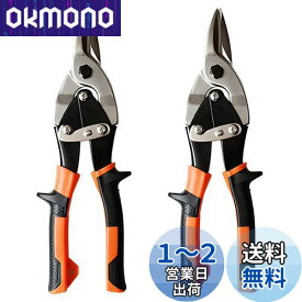 堅塁金物 万能 金切 ハサミ 板金工具ハサミ 安全ロック付き 直刃ハサミ 左右の円弧切りはもちろん、直線切りも可能 (2本セット)
