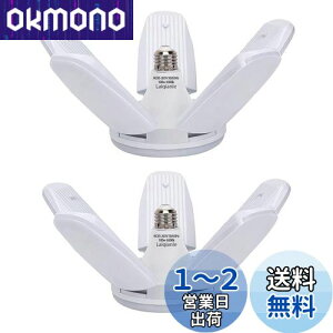 yzLaiqianle K[WCg 100w 2 LEDV[OCg y_gCg Ɠ 6 F 6500K VƖ tȒP Hsv px߉\ ȃGl Ԍ q [ HpCg 