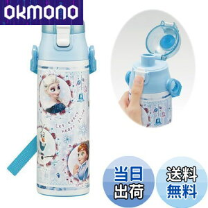 【送料無料】スケーター(Skater) 子供用 ステンレス 水筒 直飲み 580ml ディズニー アナと雪の女王 24 子供に優しい軽量タイプ 保冷専用 waterbottle スポーツボトル かっこいい キッズ 子供 こども