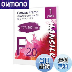 HANSILK キャンバス 張りキャンバス キャンバスボード F20 707mmx607mm 【1枚】油絵 画材 画布 油絵の具 ギャラリー用 油彩・アクリル兼用 化繊綿製 オイル漏れ防止 厚手 中目 子供 初心者 野外 学