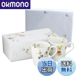 yzNARUMI(i~) yA}OJbv [V[K[f 370cc x[ 2Zbg 킢  [t 傫 j ̓ v[g dqW H@Ή Mtg