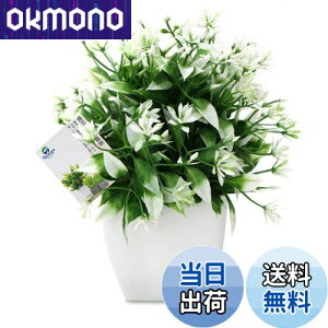 yzTOSSOW lHϗtA  tFCNO[ tFCNϗtA l CeA v[g ΂Ɣt