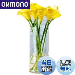 ? KX ԕr Ԋ V_[ ~ ԕr KX ԕr   ԕrk ԕr 30cmt[x[X Ԋ oXPbg ԕr K[f KX Of[V  Vv  L 