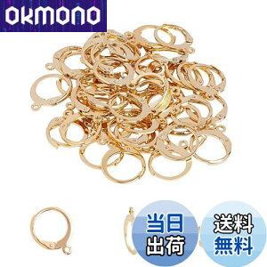 UNICRAFTALE 50 1mm t[vsAXp[c 304XeXo[obNCOp[c tX [vt CNbv sAX p[c tbN S[f  X^bhsAX  C