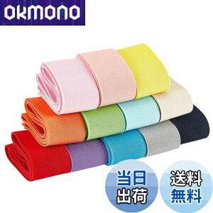 【送料無料】BENECREAT 全長12m幅40mm 平ゴム 織りゴム カラフル 12色 弾性バンド 手芸裁縫 裁縫材料 交換バンド 裁縫用 手芸 交換 手作り素材