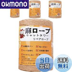 yzyƊďCz[v  6mm R Ђ yA[v L^[ XNb`[ ܌ Lbg^[p ܂Ƃ  DIY |(100m)