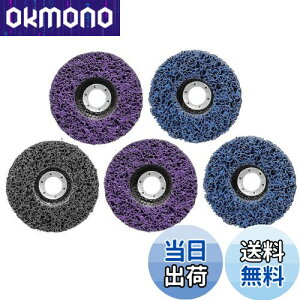 【送料無料】STEBRUAM クリーニング 研磨 ディスク 125mm 5個セット サビ クリーニング DIY木材 塗装ペイント除去 研削金属 サンダー ペンキ ディスクグラインダー 研磨パッド グラインダー(2枚プ