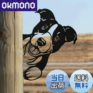 yzMrMrKura  K[f  v[g  K[fjOG O K[fu K[fI[ig S `hbO  K[fIuWF  z[ |pi 