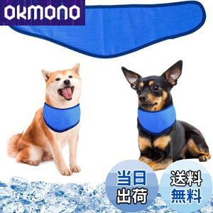 pN[o_i N[lbN p⊴O ybgpp pN[XJ[t p^I ybgp⊴ pXJ[t {[_[ ΍ObY ₷ y ߉\ 