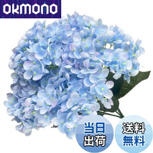 yzhimsyuden AWTC z  5 VNt[   A[gt[ DIYԍ Be lH Mtg j ԑ ItBX iX  CeA