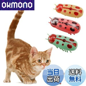 KASELIN d  3Zbg drL񂨂 dCybĝ  L ߋ lV QԂ@\ Cat'sbug! ĂƂ ~jdqJugV LpC^NeBuEgC