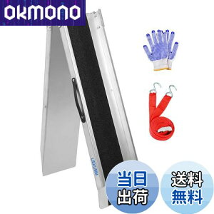 yzLIEKUMM oCNX[v _[[ X`[ 180*23cm ܏ [fBO[ ύڃX[v ω׏d280kg ܏݃ubW oCNύ gbN[fBO ׉p 