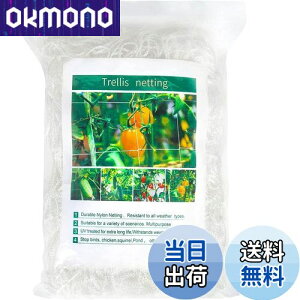 yzDERAYEE |lbg |pgl 1.67m×c5m 15cmԖ iq A