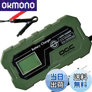 yzG[(amon) OGC obe[`[W[ [d 12V obe[ 40~120AhKp fB[vTCNobe[Ή [d[h TtF[V@\ u|[^udV