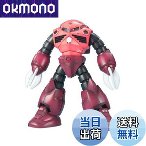 yzBANDAI SPIRITS(o_C Xsbc) MG @mK_ MSM-07S VApYSbN 1/100XP[ Fς݃vf