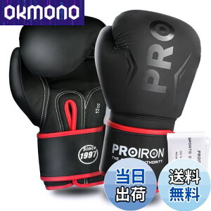 �y���������zPROIRON �{�N�V���O�O���[�u 12oz �{�N�V���O�p�O���[�u �p���`���O�O���[�u ���� �ϋv�������� ���K boxing gloves �����e�i���X�o�b�O�t�� 1�N�Ԃ̕ۏ�