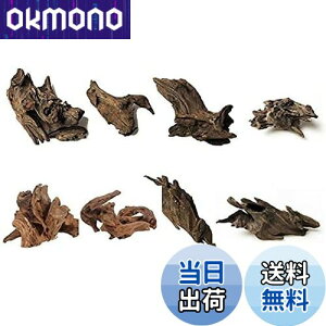 yz8 كVN R GCuؐ̑ i 8`10cmj