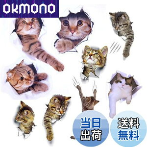 yzPazi EH[XebJ[ L   XebJ[ ˂ V[ 킢 3D ȒP DIY  \Ă͂  ǎ gC  Lb` CeA