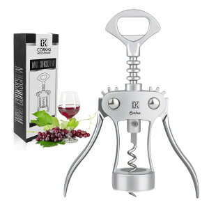 yzCORKAS \GiCt CI[vi[ RN v {ih\GiCt VOANV XeX