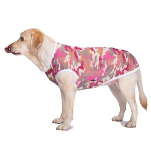 yzAmzBarley    Ђ N[xXg Vc bV ^Ngbv ڐG⊴   ʋC Lk ₷ ^ Č  hbOEFA Ăh Eѕی 