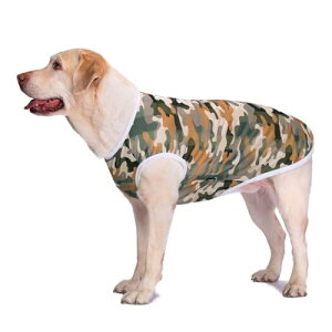 yzAmzBarley    Ђ N[xXg Vc bV ^Ngbv ڐG⊴   ʋC Lk ₷ ^ Č  hbOEFA Ăh Eѕی 