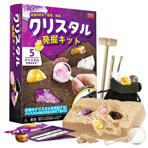 yzXXTOYS NX^@Lbg  ΍̌@  AWXg m q nw v[g Mtgc