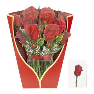 yzFondersy y[p[|bvAbvJ[hA29cm̉ỉԑ3D|bvAbvO[eBOJ[hAm[gJ[hƕt̃o[Xf[MtgJ[hƃzf[O[eBOJ[