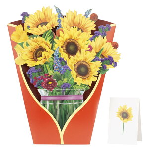 yzFondersy y[p[|bvAbvJ[hA29cm̉ỉԑ3D|bvAbvO[eBOJ[hAm[gJ[hƕt̃o[Xf[MtgJ[hƃzf[O[eBOJ[