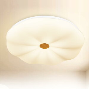 yzDepuley V[OCg  10 F 3iKF 48W rO Ɩ q Ɩ LEDƖ R iKF 铔 Q ȃGl ȒPt N