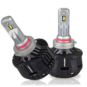 �y���������zIPF �t�H�O�����v LED