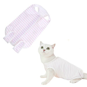 yzBTtime L  p㕞 pJo[ ی DpPA pEFA 앞 ʋC _炩 ~h~ 畆ی IX Xp