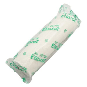 yzAPA GXRbg I[Rbg e͕