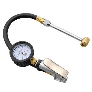 yzfCgi(Daytona) oCNp GAQ[W