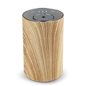 【送料無料】アロマディフューザー ネブライザー式 水なし エルエンスタジオ コードレス車用ディフューザー アロマ芳香器 噴霧量調整可能 USB充電式 静音 精油瓶2個付き ヨガ室・部屋・車