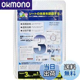 【送料無料】ターピー 3年シート