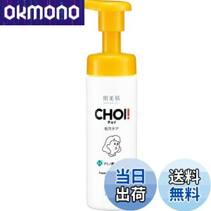 yz y򕔊Oiz CHOI A p ьPA 110g | tH[ XLPA ь p p  FF