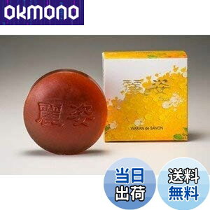 yza򌤋 p J hD T{ig艻ϐΌj 100g  Y }l^P