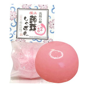 yz肵ڂ l肵ڂ gi80gjy胊j[AzΌ Ό Z~hz (Y//ێ)  q̕ TCYF100O (x 1)