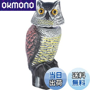 yzUhtNEu, AȖڂ̑t, EJXEXYޗp, 뉀Ex_p FFO[AԒFAF