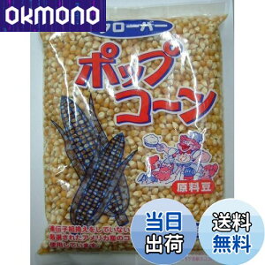 yzN[o[ |bvR[Ɩp 1kg TCYF1LO (x 1)