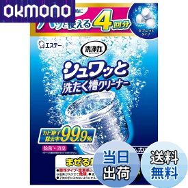 【送料無料】洗浄力 シュワッと洗たく槽クリーナー サイズ：4回分(エコパッケージ)