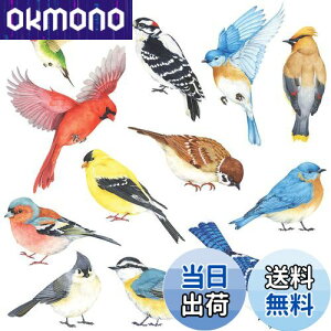 yzDECOWALL DS-8042  () EH[XebJ[ fR ct ۈ牀 q DIY p Ǔ] V[ EH[A[g V[ j̎q ̎q ǂ oX[ fR[V rj[