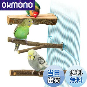 yzYINKE ~܂ ~܂ ܂𖁂񂲂̖ R ܂ p[` CR IE  IE  ₷݃{[h ނ P[WX^h P[WANZT[  Xg